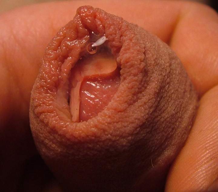 precum detail