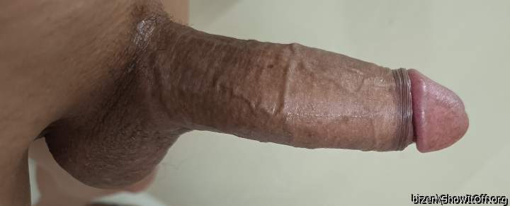 Photo of a python from bizen