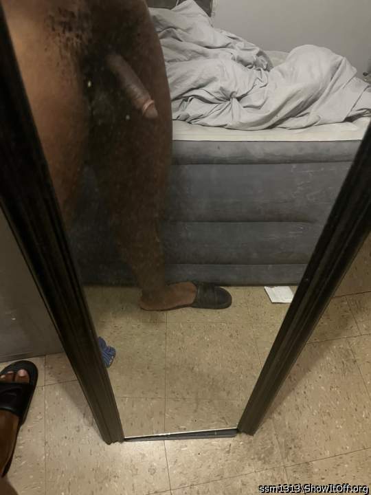 Photo of a cock from ssm1313