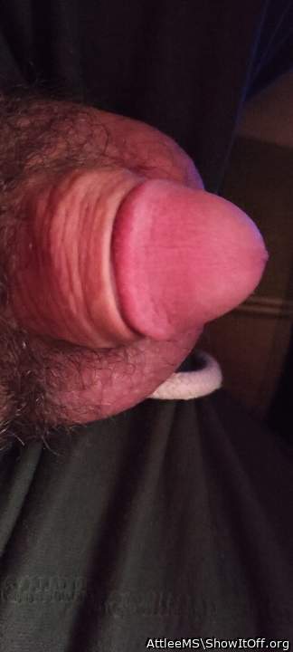 Photo of a sausage from AttleeMS