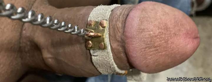 He like to pull on his leash..