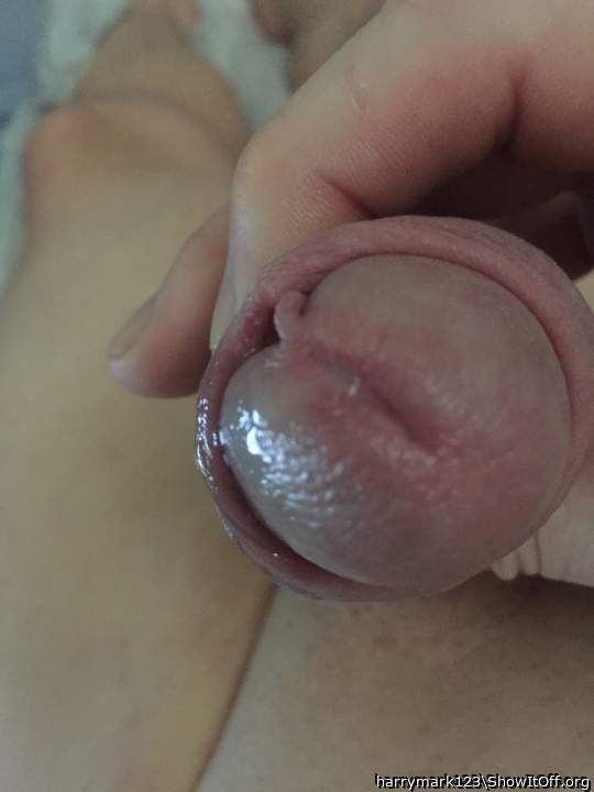 Photo of a weasel from harrymark123