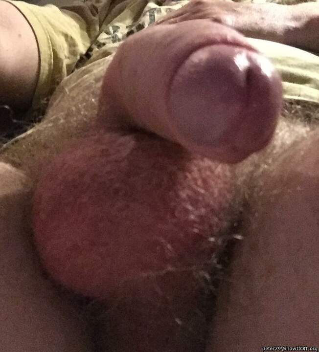 Photo of a tool from peter79
