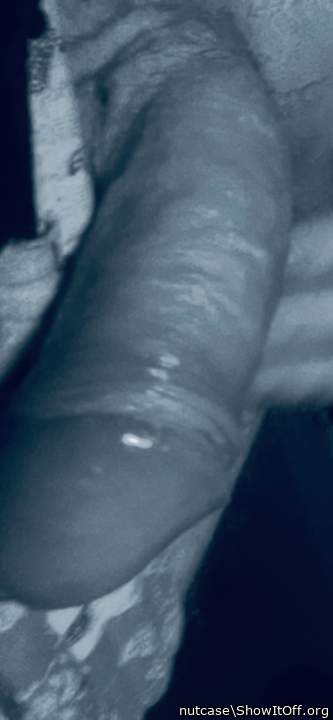 Photo of a purple headed monster from nutcase