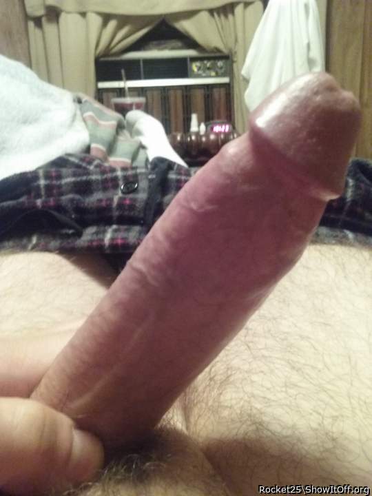 Photo of a weasel from Rocket25