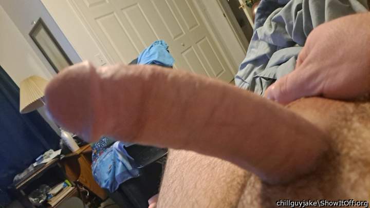 Photo of a cavalier from chillguyjake