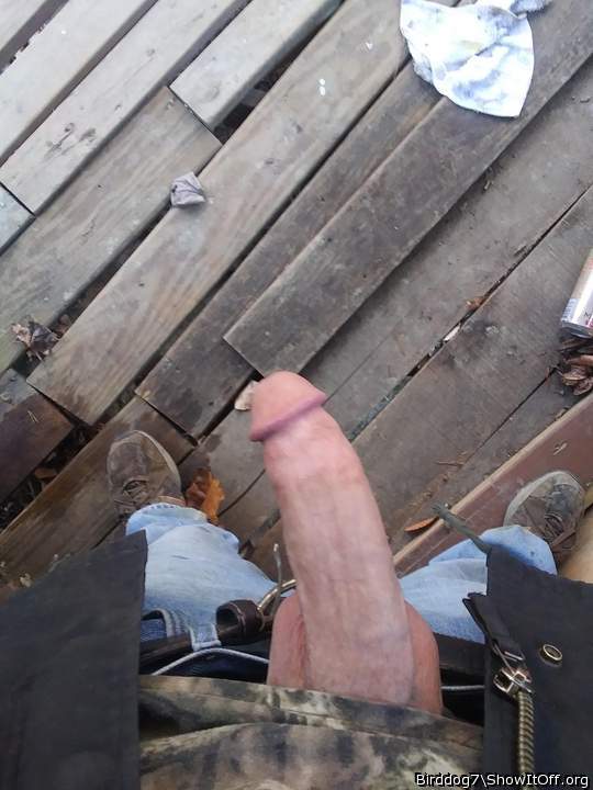 Photo of a pecker from Birddog7