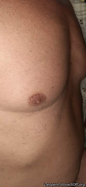 Adult image from Denpenn