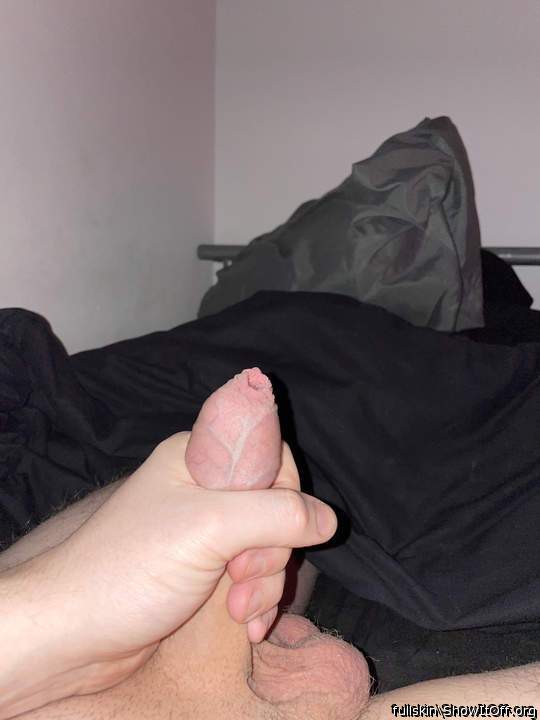 Photo of a lizard from fullskin