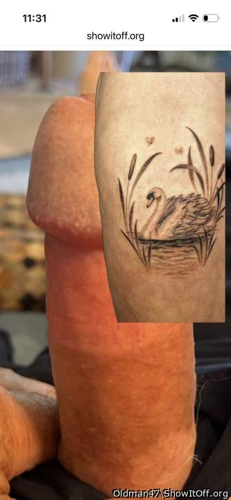 Photo of a penis from Oldman47