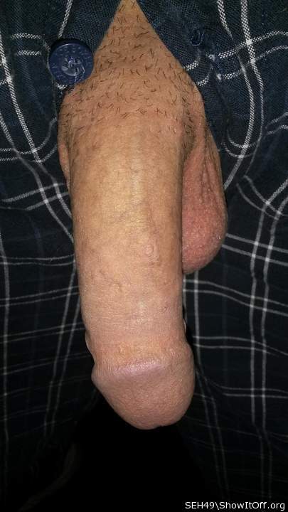 Photo of a prick from SEH49