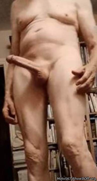 Photo of a cock from Moto567