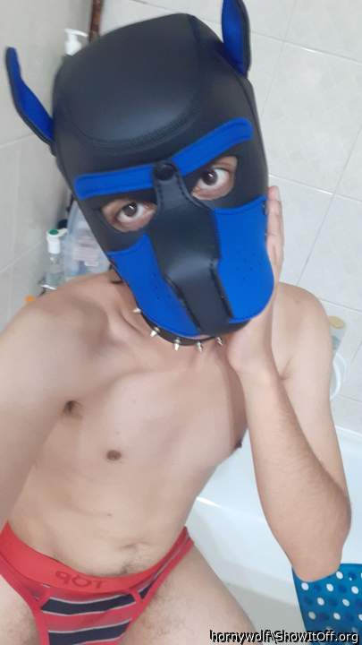 good boy