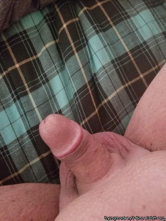 Photo of a third leg from flyingmonkey7