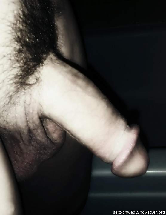 non erect penis