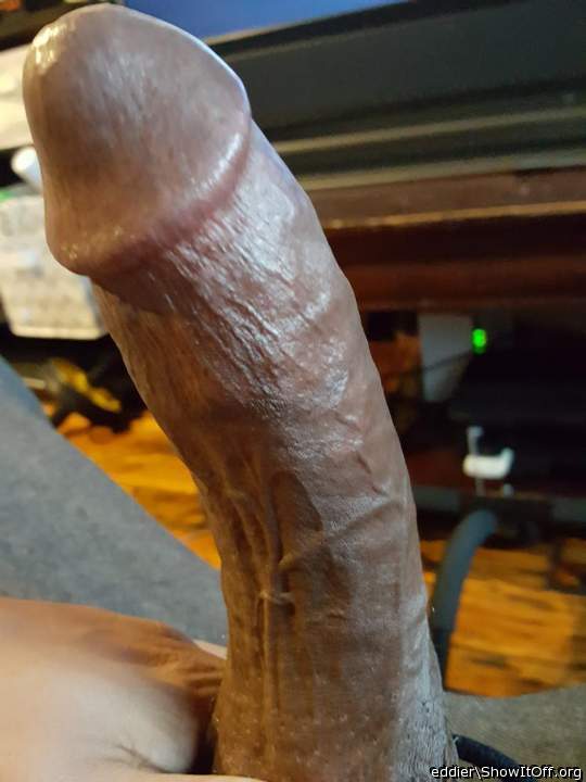 Beautiful cock!