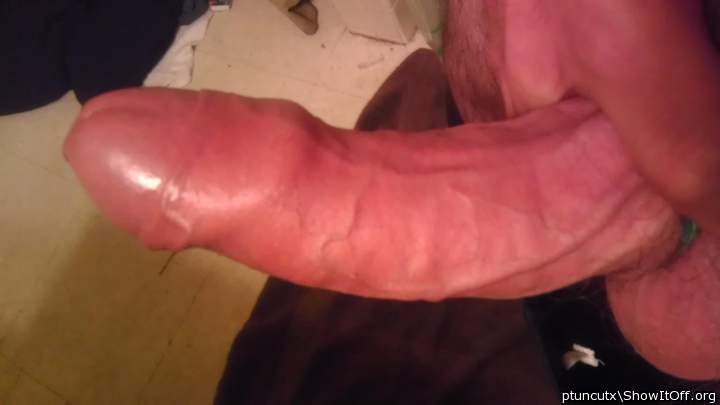 Photo of a wiener from ptuncutx