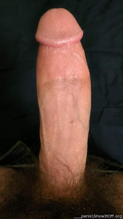Hard Penis