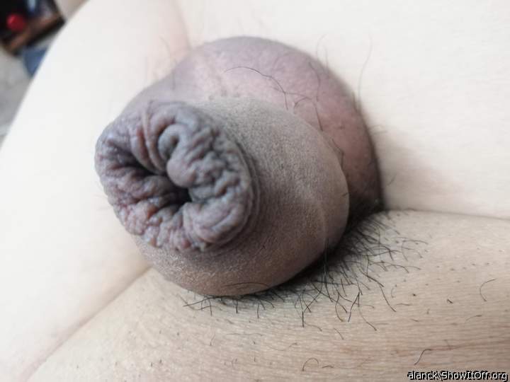 Photo of a schlong from alanck
