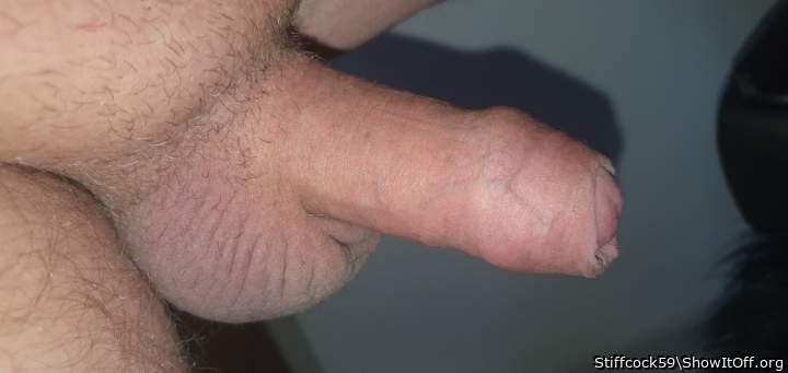 Photo of a cavalier from Stiffcock59