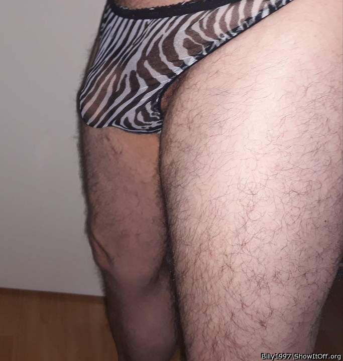 Photo of a middle leg from billy1997