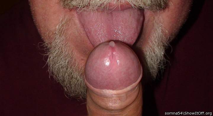 cock licking