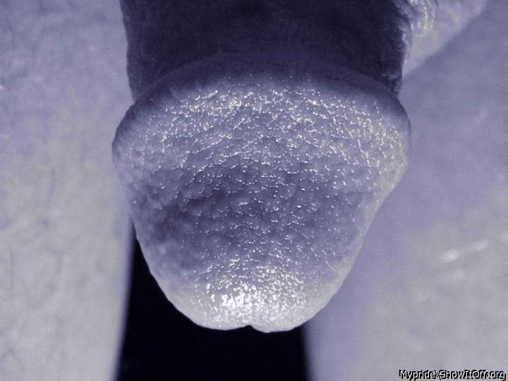 Photo of a bald-headed mouse from Mypride