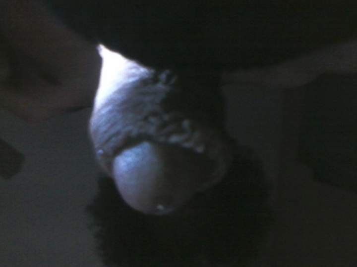 Photo of a prick from basketcruiser
