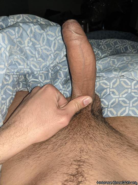 Morning wood