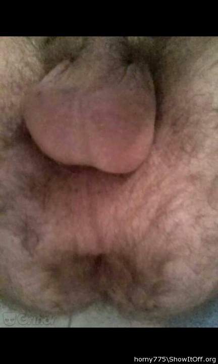 my tight virgin ass and full balls