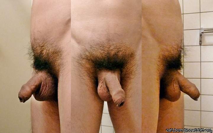 Photo of a wiener from csf13cm