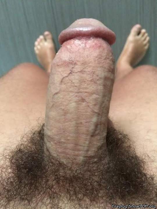 my bush