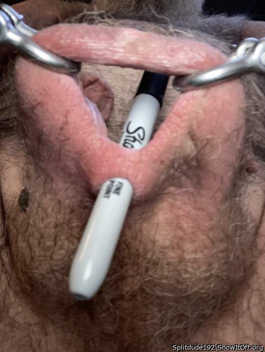 Photo of a cavalier from Splitdude192