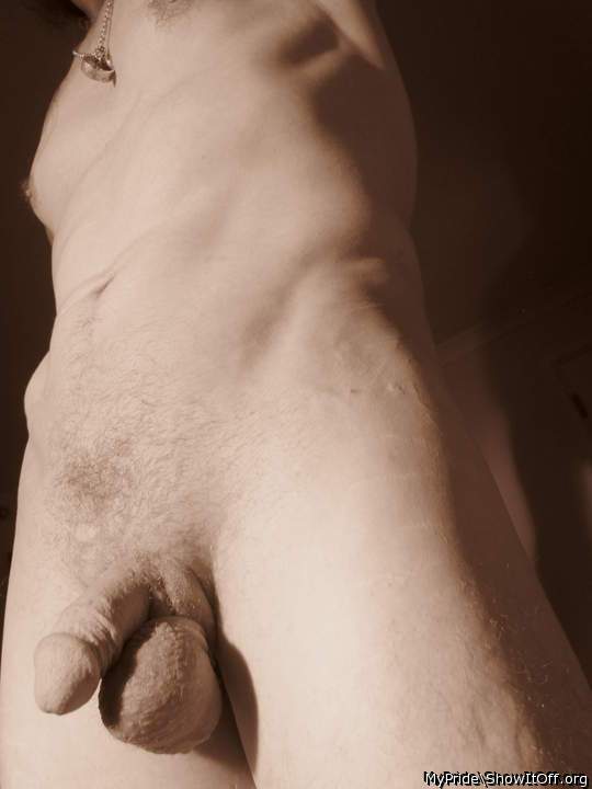 Photo of a horn from Mypride