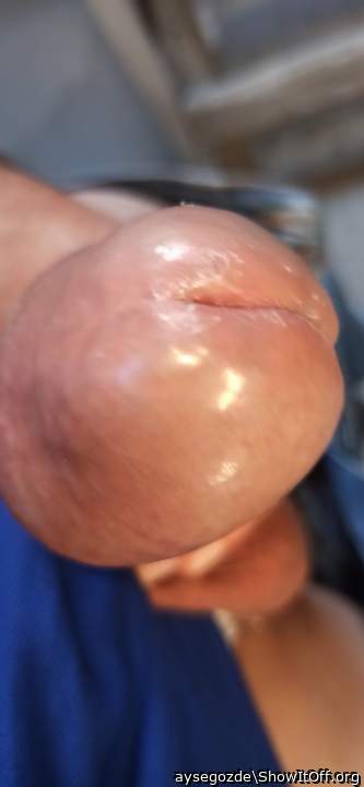 Testicles Photo from aysegozde