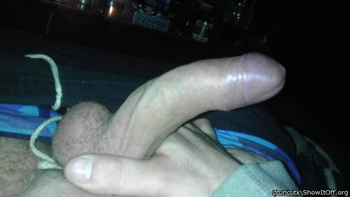 Photo of a third leg from ptuncutx