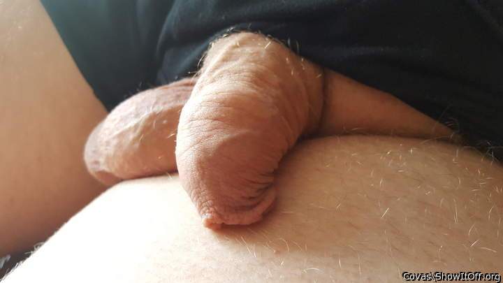  H����bsch !!  