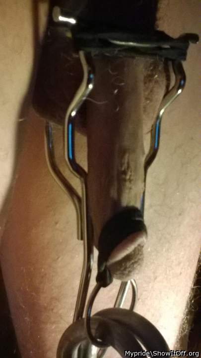 Photo of a short leg from Mypride