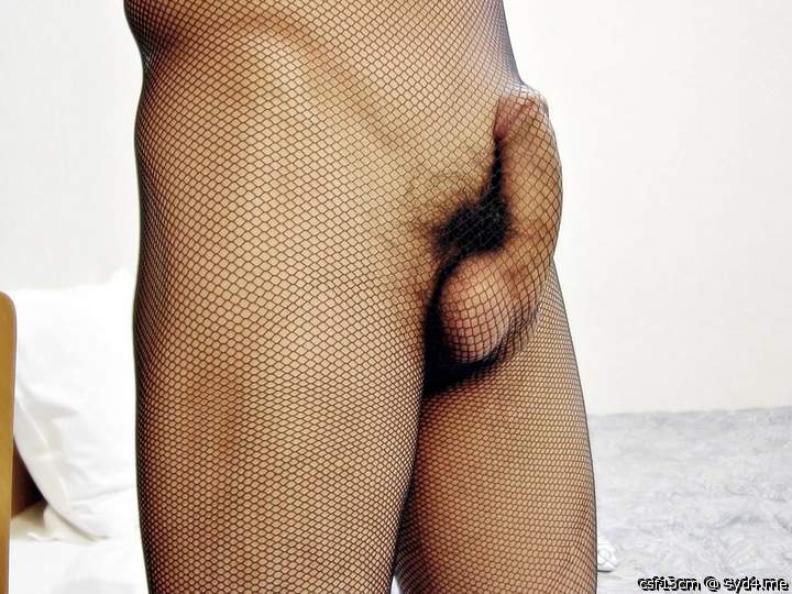 Photo of a meat stick from csf13cm