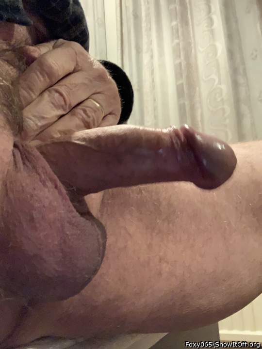 Photo of a weasel from Foxy065