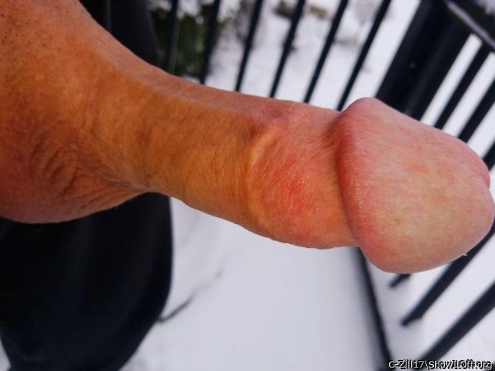 Snowy cock flash