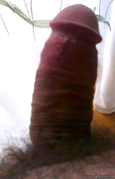 my dick