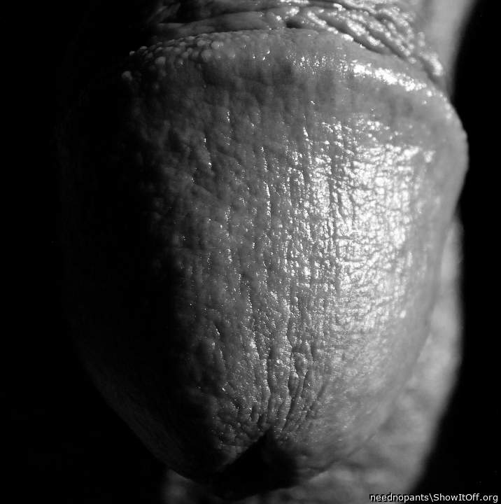 Photo of a sausage from neednopants