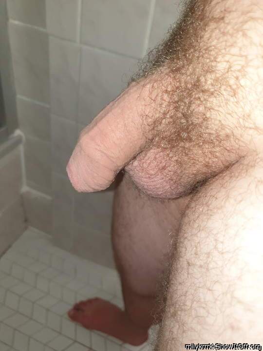 Photo of a weasel from Milykrrrk