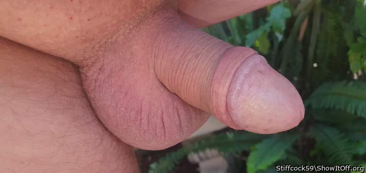 Photo of a bat from Stiffcock59