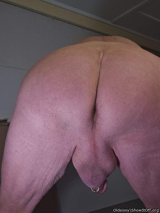 Photo of a python from Oldsissy