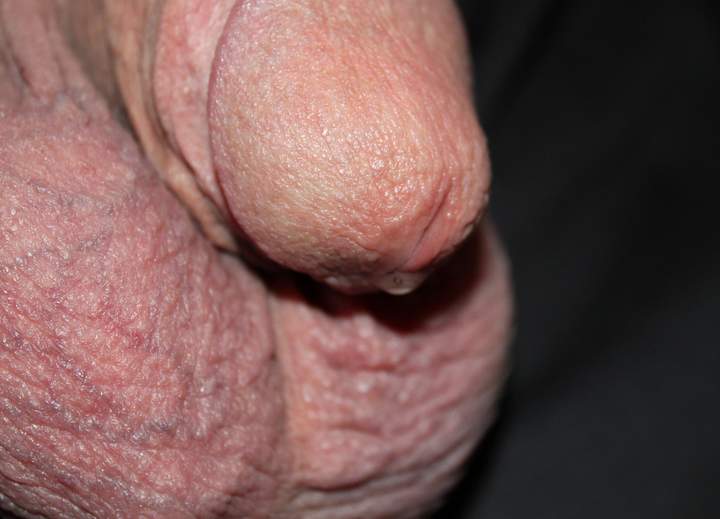 Photo of a schlong from lilsoftee