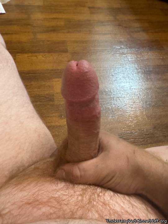 Photo of a bat from ThickHairyRed