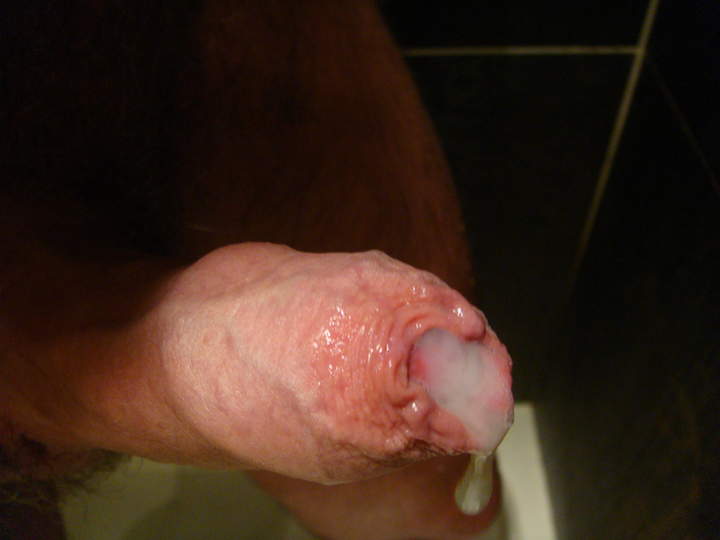 Photo of a weasel from sivad666