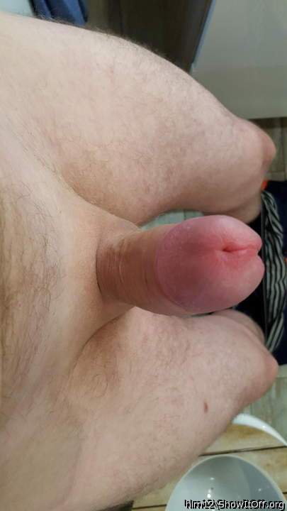 Photo of a dick from hlm12